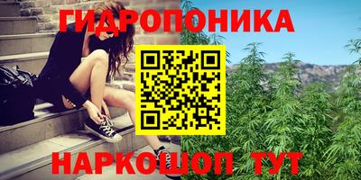 ECSTASY Краснодар
