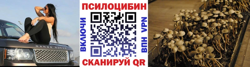 ОМГ ОМГ ONION Волхов Псилоцибиновые грибы мицелий