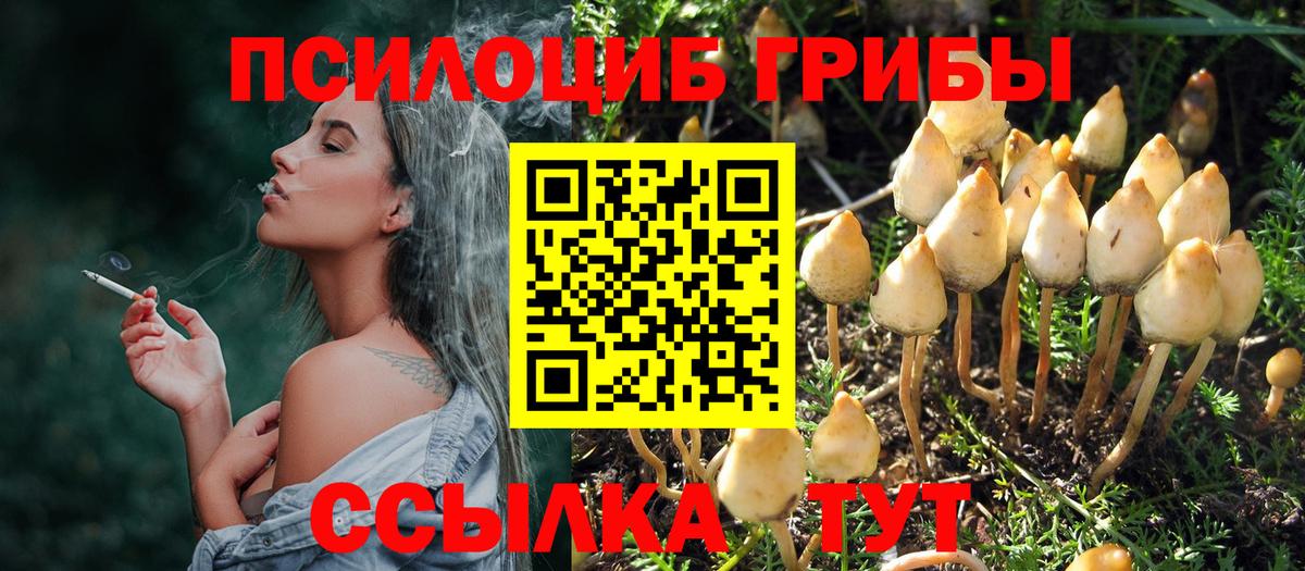 Галлюциногенные грибы ЛСД  Вход с VPN  Волхов  Галлюциногенные грибы Magic Shrooms 