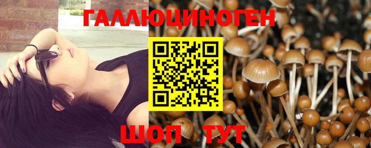 Псилоцибиновые грибы MAGIC MUSHROOMS  Волхов 