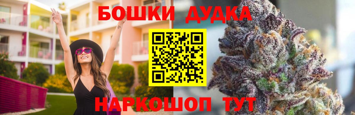 Бошки Шишки семена Волхов